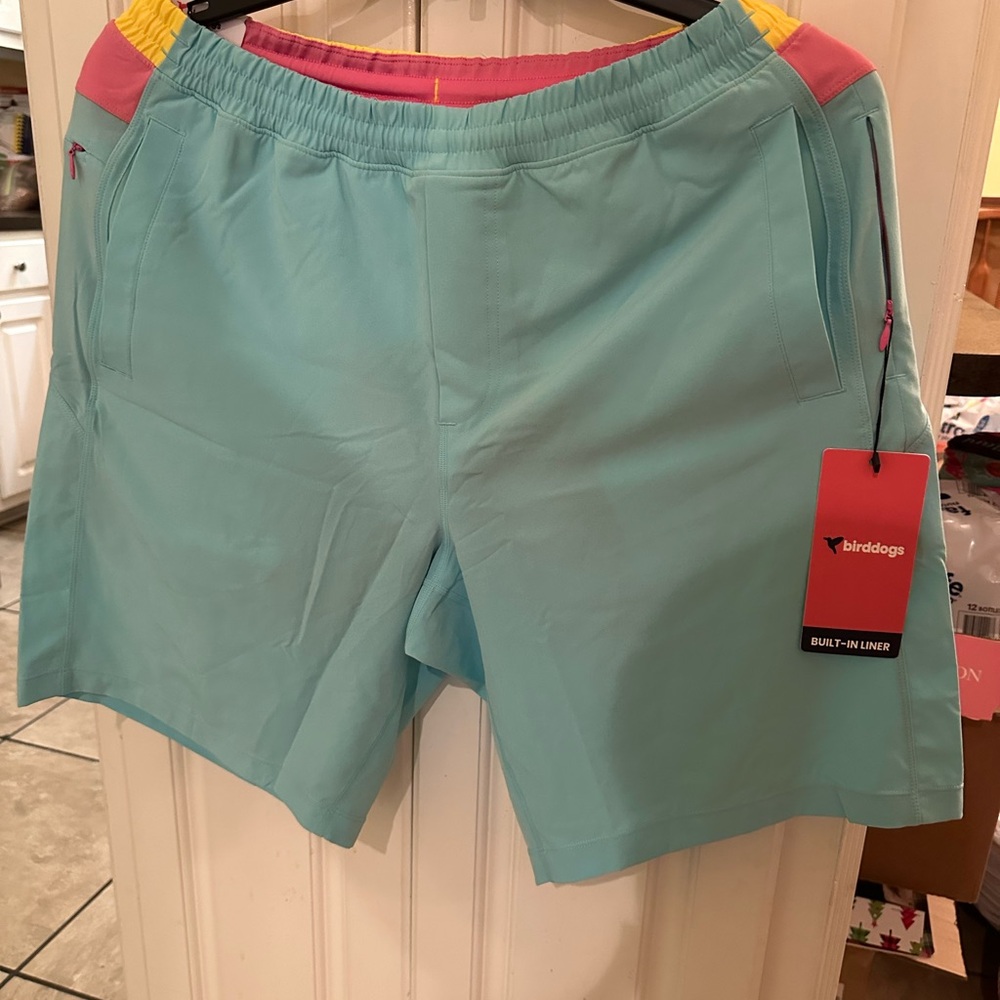 Birddogs Aqua and Pink Shorts